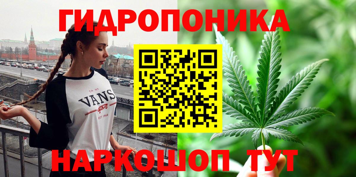 Шишки марихуана MAZAR Новокуйбышевск